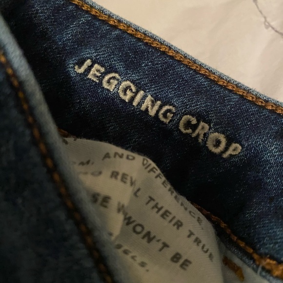 American Eagle Size 12 Long Jegging Crop Jeans EUC - Picture 6 of 7